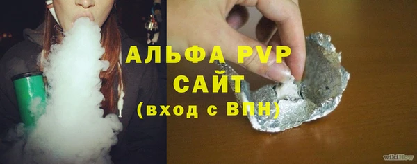 прущие грибы Верхний Тагил