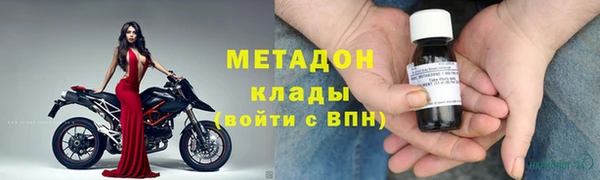 прущие грибы Верхний Тагил