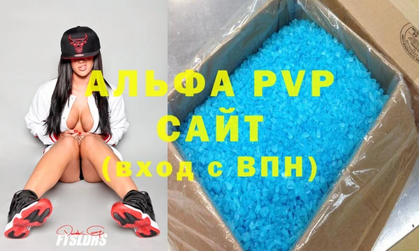 прущие грибы Верхний Тагил