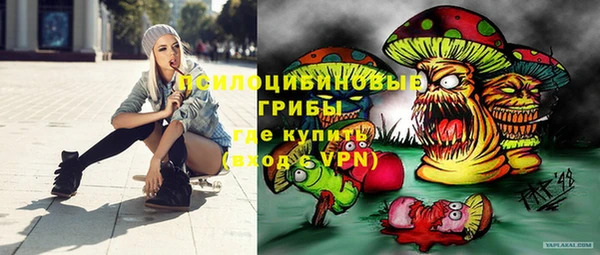 прущие грибы Верхний Тагил