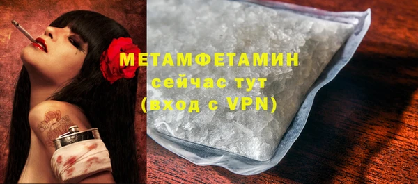 прущие грибы Верхний Тагил