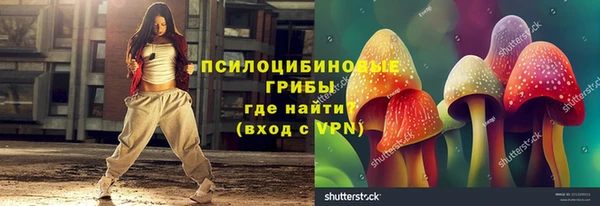 стафф Семилуки