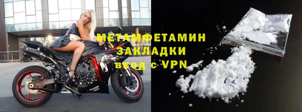прущие грибы Верхний Тагил